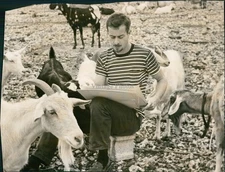 1958 Joy Winans South Dade Stringer Goat Farmer Field 8X10 Vintage Press Photo