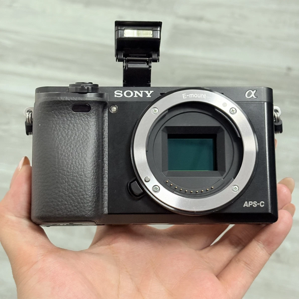 Sony A6000 Body Only Digital Cameras for sale | eBay