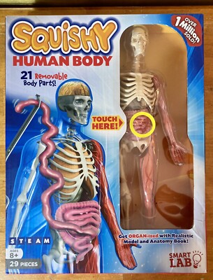 SmartLab Squishy Human Body 21 Removable Body Parts 29 pc Stand and Instructions