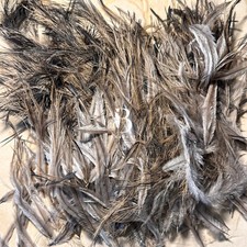 500 Australian Mixed EMU Body Feathers, MILLI...