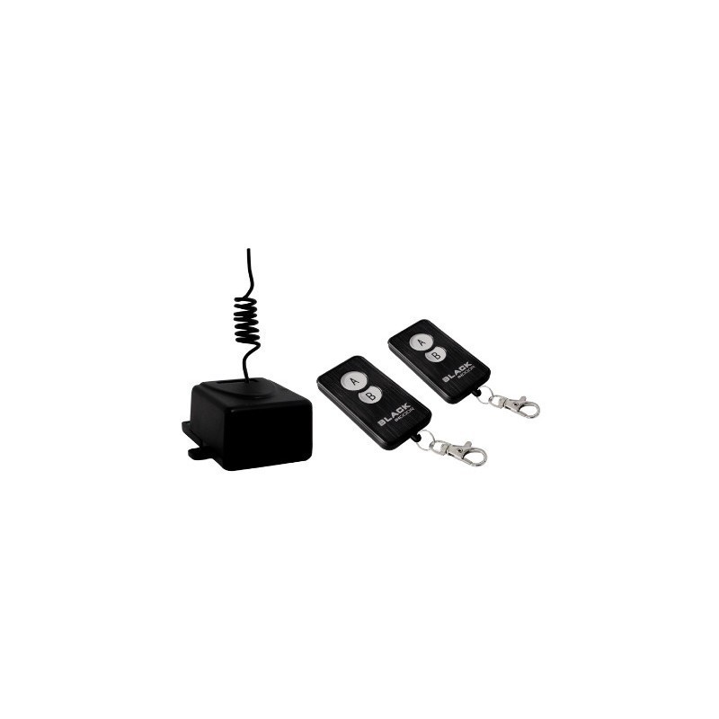 Ricevitore Da Interno + 2 Radiocomandi 2-12/24V ( G.B.S. cod. 2164 )
