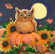 Bead Embroidery Kit "Night guest" Beaded Stitching Beadwork