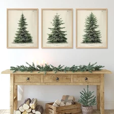JarThenaAMCS 3Pcs Winter Wall Art Prints 11 x 14 Inch, Christmas Trees 