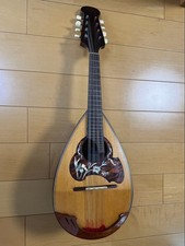 1973 Color Che Mandolin No.26 with case