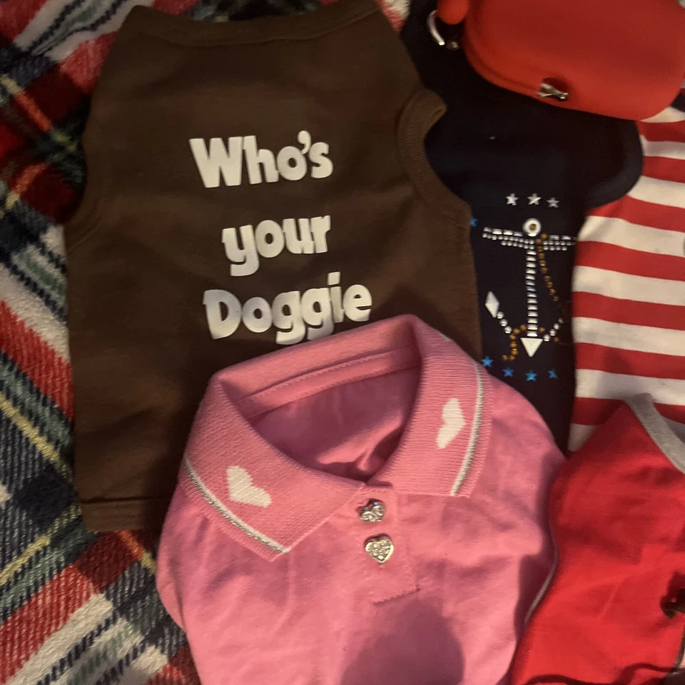 Dog Shirts Designer Lot Small Paris Erotica Boat Star Funny - Image 2 of 4