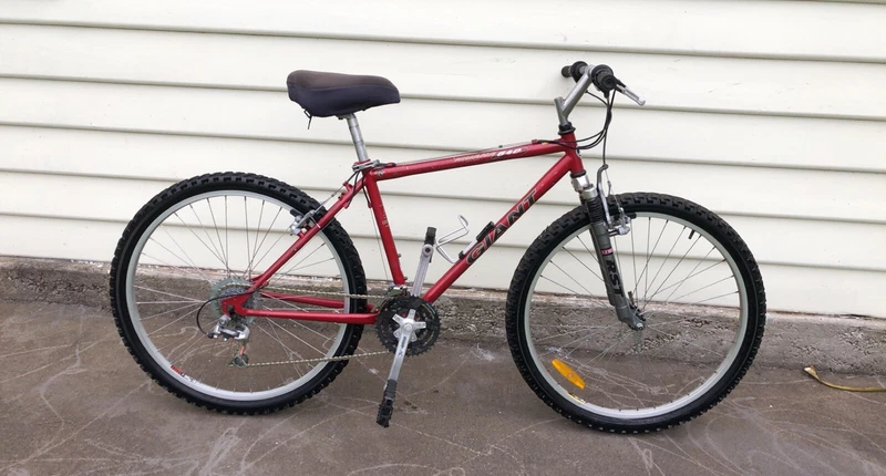 giant iguana 640 mountain bike