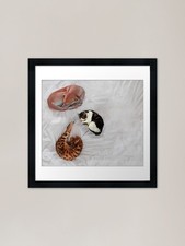 Pets on the bed -- cats and dogs on Framed Wall Art Poster Canvas Print Picture