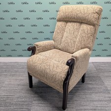 CareCo Cocoa Aster Fireside Chair