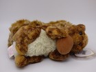 Bild 5 von 10