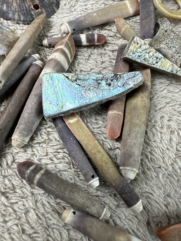 Vintage Sea urchin quills Beads And Shells 40 and a lot | eBay