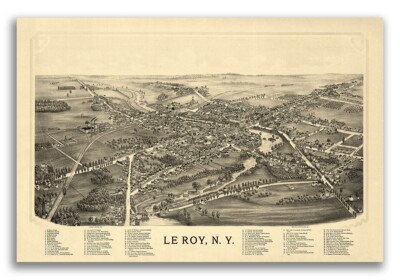 Bird's Eye View 1892 Le Roy New York Vintage City Map - 16x24