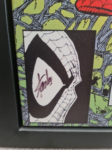 Spiderman Torment - Signed Stan Lee Boxed Canvas - 113/195 - Picture 4 of 5