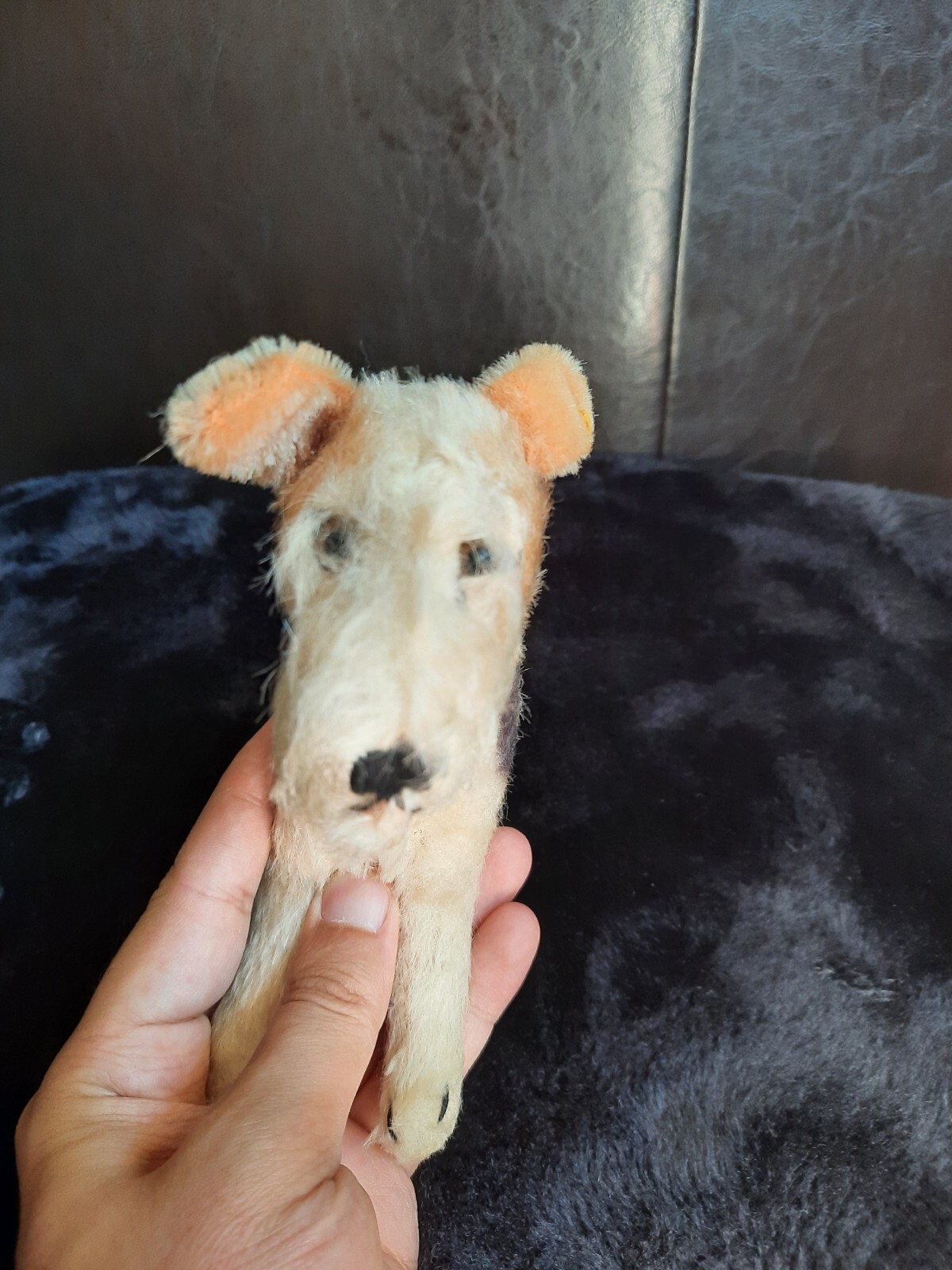 Lot Of 2 Steiff Vintage Mohair Dog Foxi /Terrier and Lamb German w