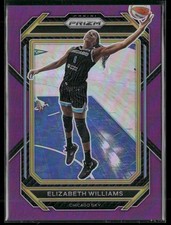 Elizabeth Williams 143/149 2023-24 Panini Prizm WNBA Purple Chicago Sky #21