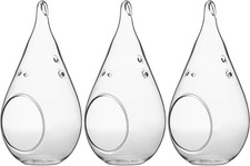 WGV Glass Hanging Plant Terrarium Bulk Width 3.5" Height 7" Teardrop DIY Air