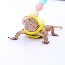 Lizard Traction Rope Comfortable Durable Safety Protection Adjustable Reptile