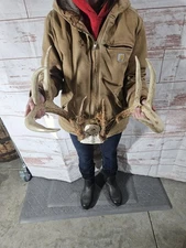 Wild 9 Point Whitetail Deer Antler Rack Horn Skull Plate Man Cave Cabin 140"