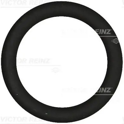 Guarnizione collettore aspirazione 40-76919-00 VICTOR REINZ per PEUGEOT FORD