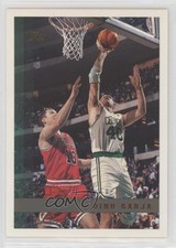 1997-98 Topps Dino Radja #38 HOF 0b3