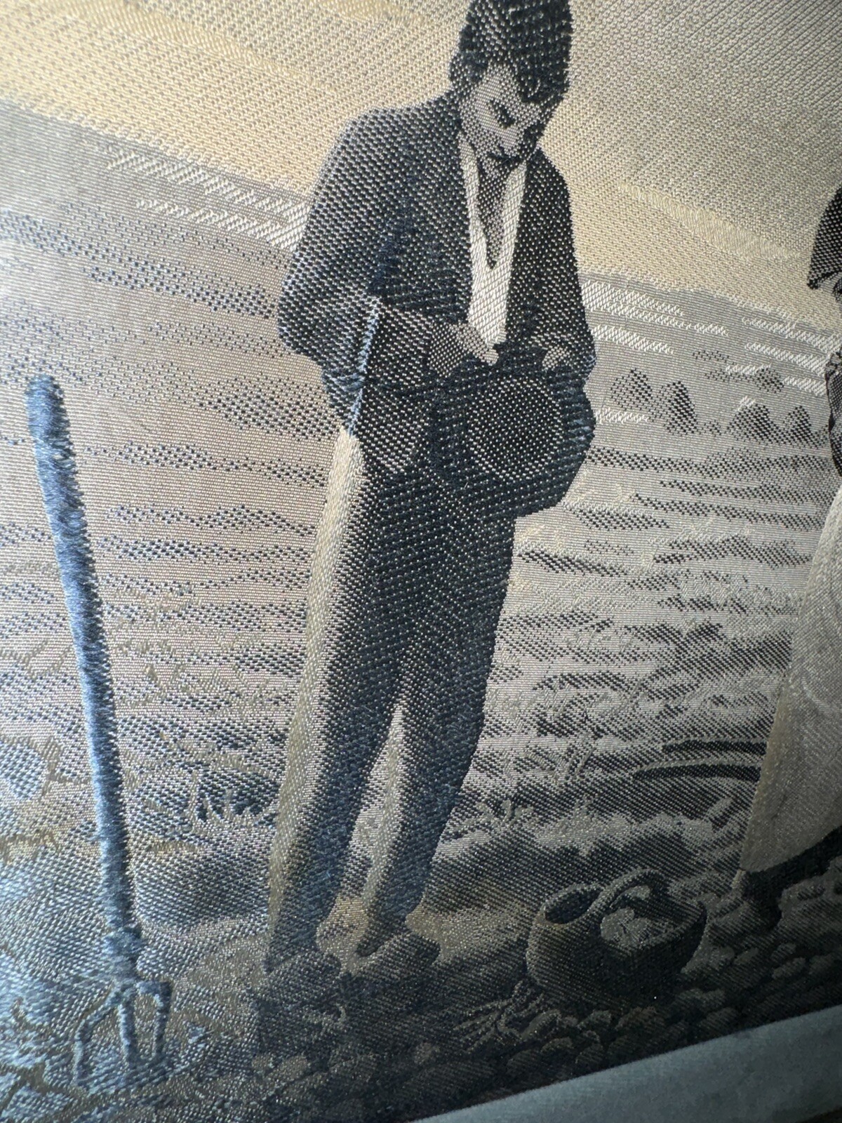 Picture 11 of 19