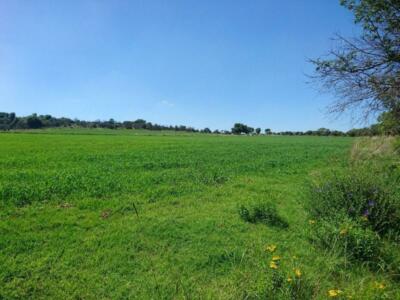 Finca/Rancho en Venta en Polotitlan