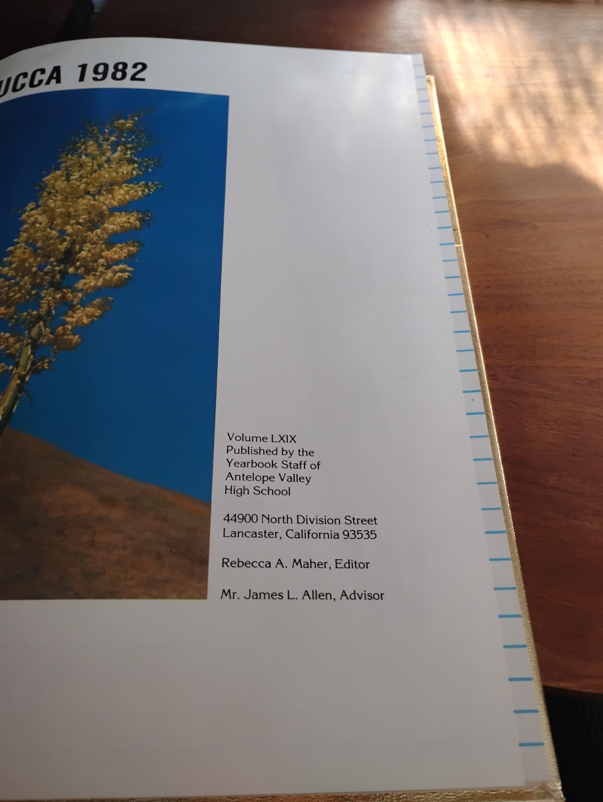 1982 Antelope Valley High School Yearbook, Lancaster, CA