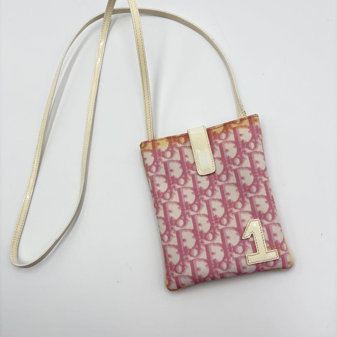 Dior Trotter Pink Canvas Leather Shoulder Bag