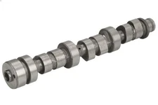 PARSUN F40-05040201 Camshaft