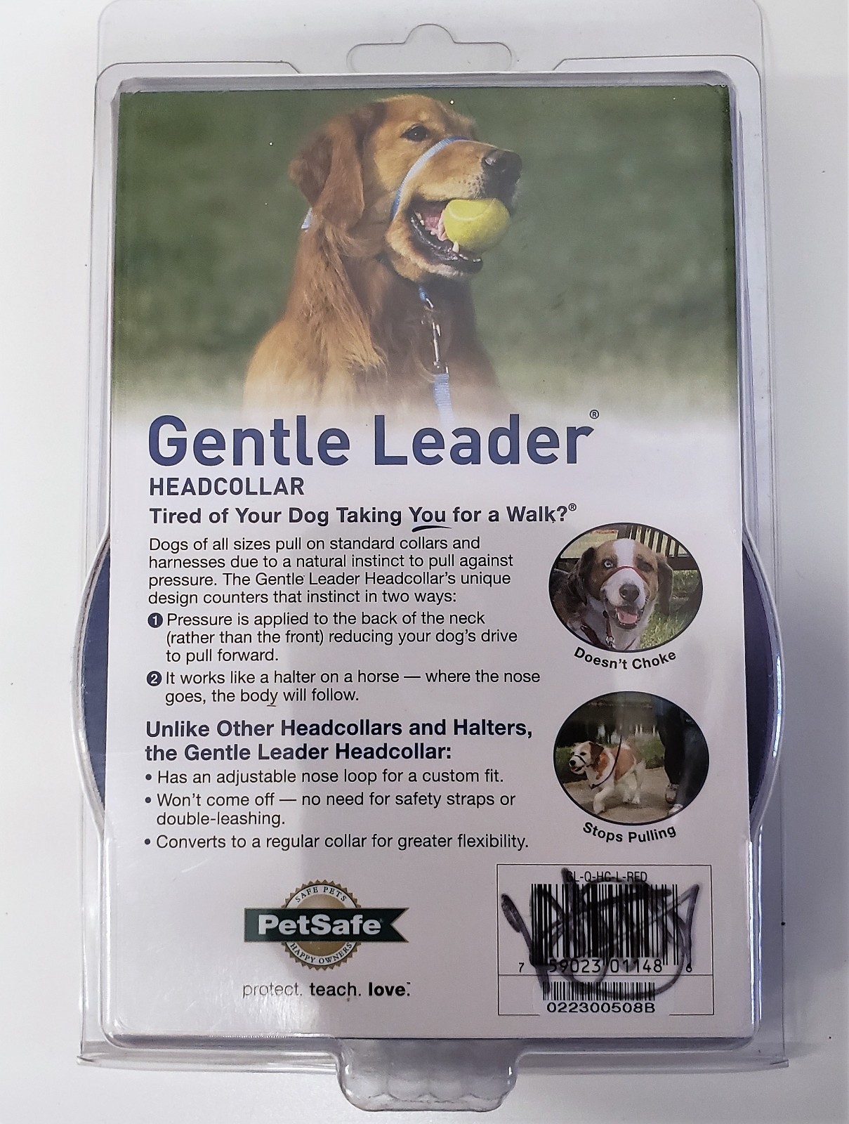 gentle leader golden retriever
