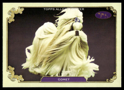 2024 Topps Allen & Ginter Stars of the Show #SOS-30 Comet