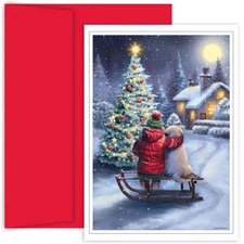 Holiday Brights Collection 16-Count Boxed Christmas Cards with Envelopes, 7.8 x