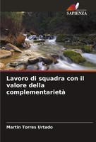 Lavoro Di Squadra Con Il Valore Della Complementarietà Martin Torres Urtado Buch