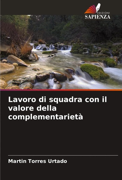 Lavoro Di Squadra Con Il Valore Della Complementarietà Martin Torres Urtado Buch-image