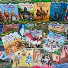 Magic Tree House Chapter Books  ~  YOU CHOOSE PICK, BUILD A LOT  Merlin Missions