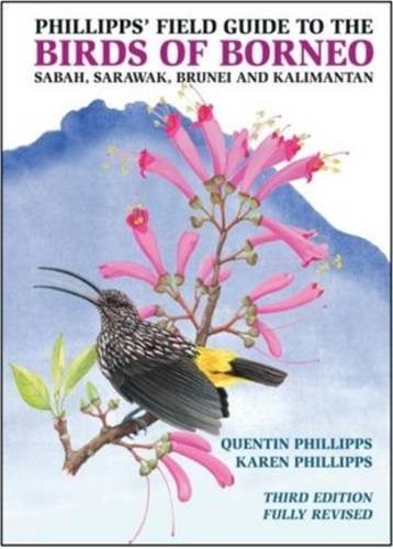 Phillipps' Field Guide to the Birds of Borneo by Quentin Phillipps - Image 9