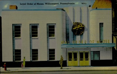 Postcard: Loyal Order of Moose, Williamsport, Pennsylvania WP11 ORDER
