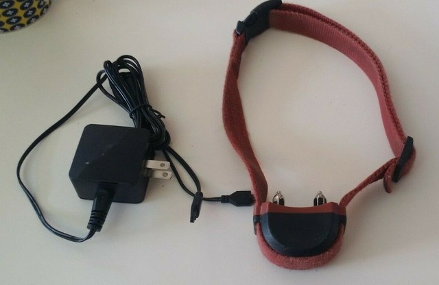 what kind of dog was on the movie turner and hooch