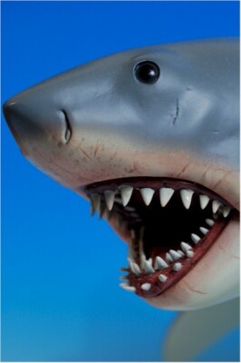 Statue Sideshow Les Dents De La Mer (Jaws) - Collection (ouverte)