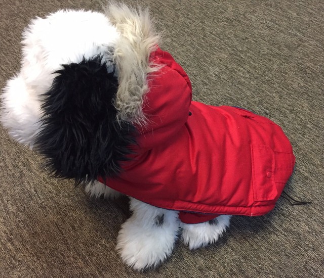 good to go dog jacket