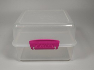 clear lunch box with compartments