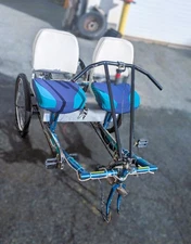 Worksman Team Dual Side-by-Side Trike – Custom E-Trike Conversion – $1,350 OBO