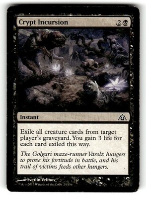 Crypt Incursion Dragon's Maze C 23 MP