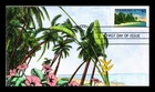 DR JIM STAMPS US COVER GEERLINGS HAND PAINTED TROPICAL COAST PUAS AMERICA FDC