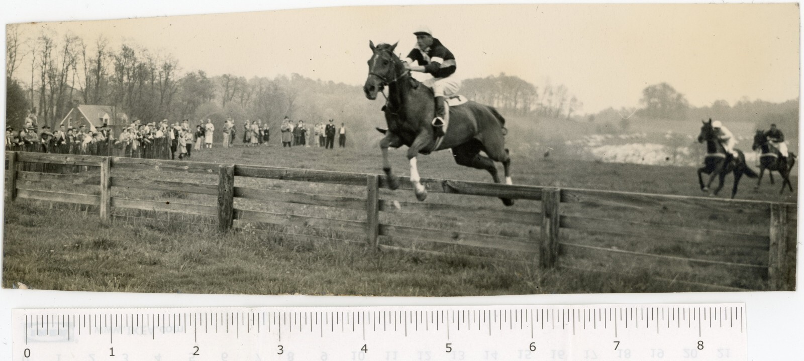 1953 Photo Maryland Reisterstown Hunt Cup Race Horse Jumping Fence