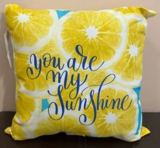 YOU ARE MY SUNSHINE PILLOW LEMONS TEAL 16 x 16" NEW INDOOR OUTDOOR MAINSTAYS