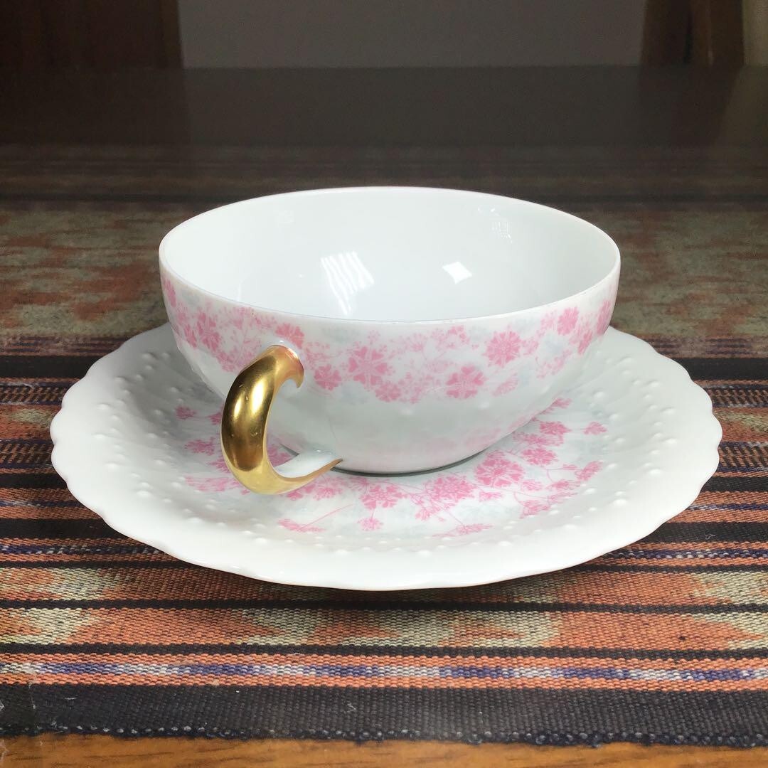 Georges Boyer Limoges Riviera Rose Cup Saucer 5 Set | eBay
