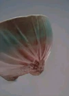 Vintage 1940s McCoy Pine Cone Footed Rustic Two-tone Pastel Bowl 6.5"Wx4"H