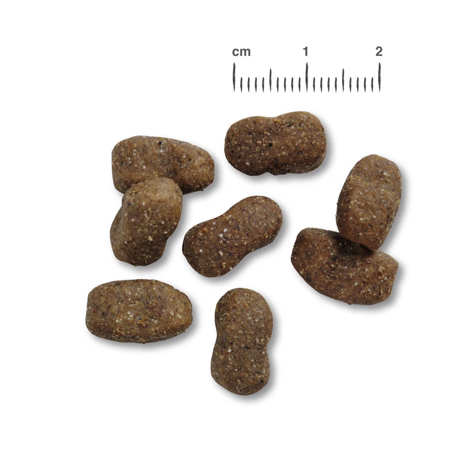 2 x 12,5 kg Belcando Adult GF Beef - Bild 2 von 3