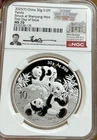 2025 Chinese Silver Panda 1 oz — photo from another recent sale