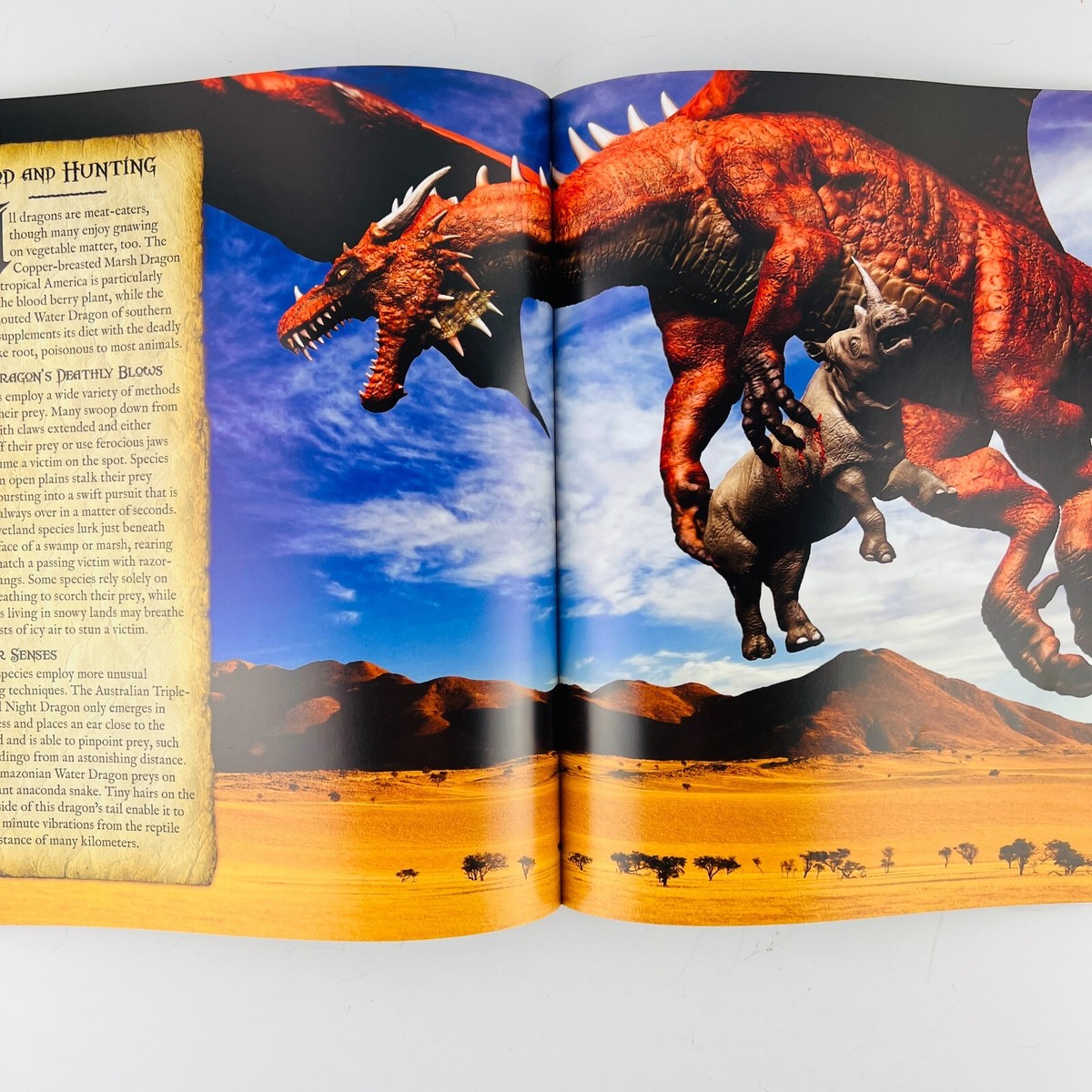 Dragonworld - Secrets of the Dragon Domain Paperback S. A.